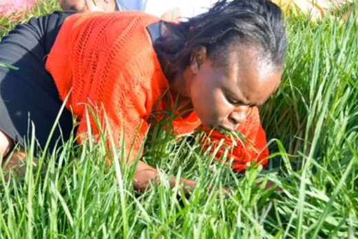 grass eater14jan13 1